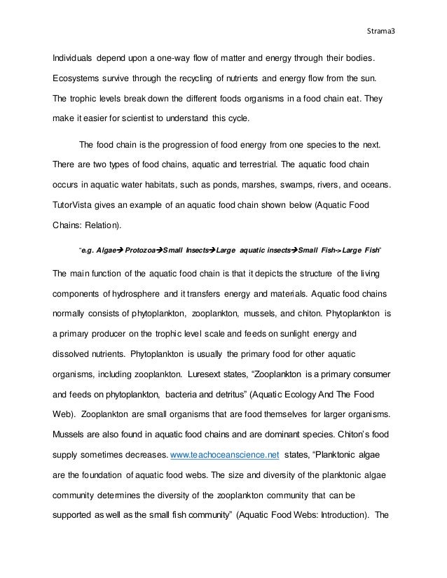 Characteristics of good student essay