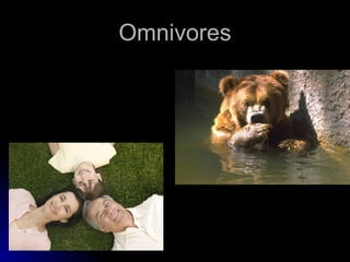 Omnivores 