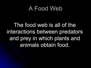 A Food Web The food web is all of the  interactions between predators  and prey in which plants and  animals obtain food.  
