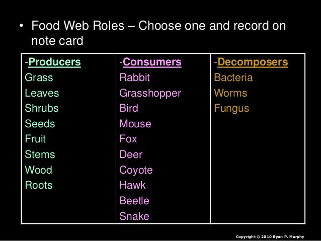 Worksheets Producers Consumers And Decomposers Worksheet food webs lesson powerpoint producers consumers decomposers 24