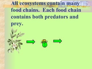 All ecosystems contain many
food chains. Each food chain
contains both predators and
prey.
 