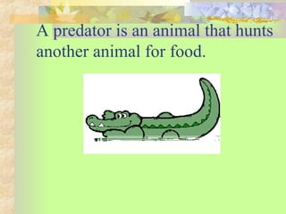 A predator is an animal that hunts
another animal for food.
 