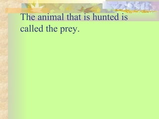 The animal that is hunted is
called the prey.
 