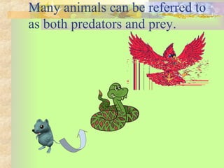 Many animals can be referred to
as both predators and prey.
 