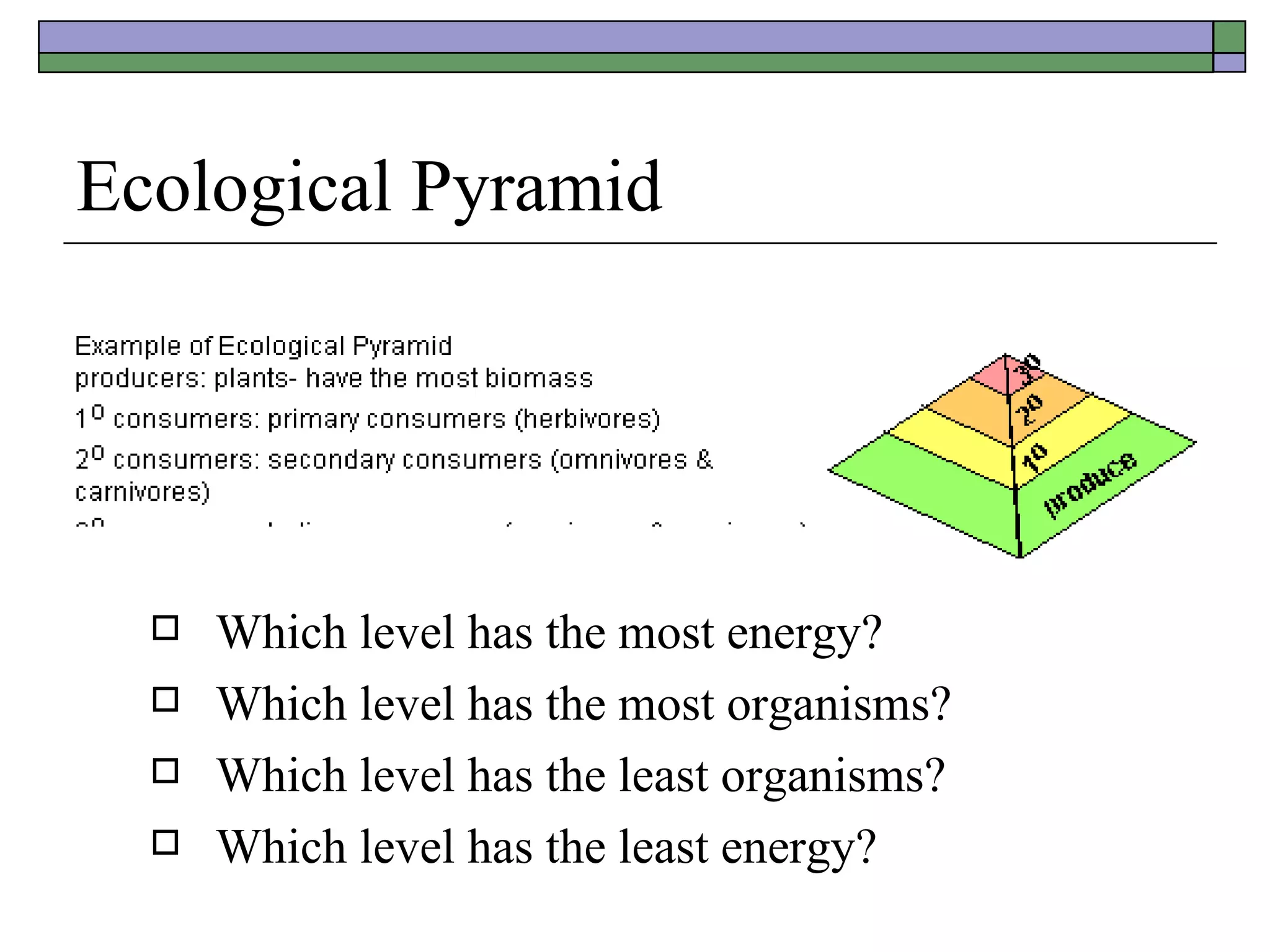 Ecological Pyramid Which level has the most energy? Which level has the most organisms? Which level has the least organisms? Which level has the least energy? 