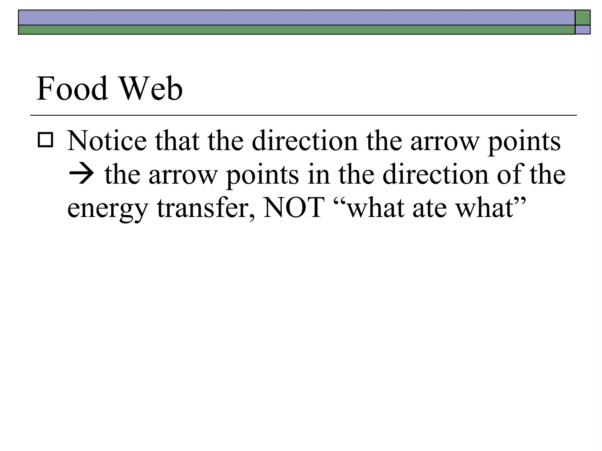 Food Web Notice that the direction the arrow points    the arrow points in the direction of the energy transfer, NOT “what ate what” 