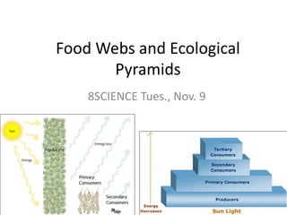 Food Webs and Ecological
Pyramids
8SCIENCE Tues., Nov. 9
 