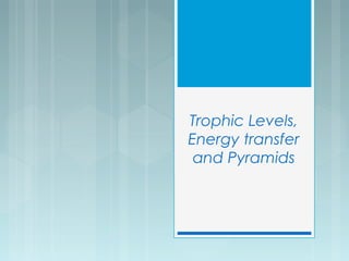 Trophic Levels,
Energy transfer
and Pyramids
 