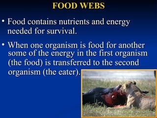FOOD WEBS ,[object Object],some of the energy in the first organism (the food) is transferred to the second organism (the eater). ,[object Object]
