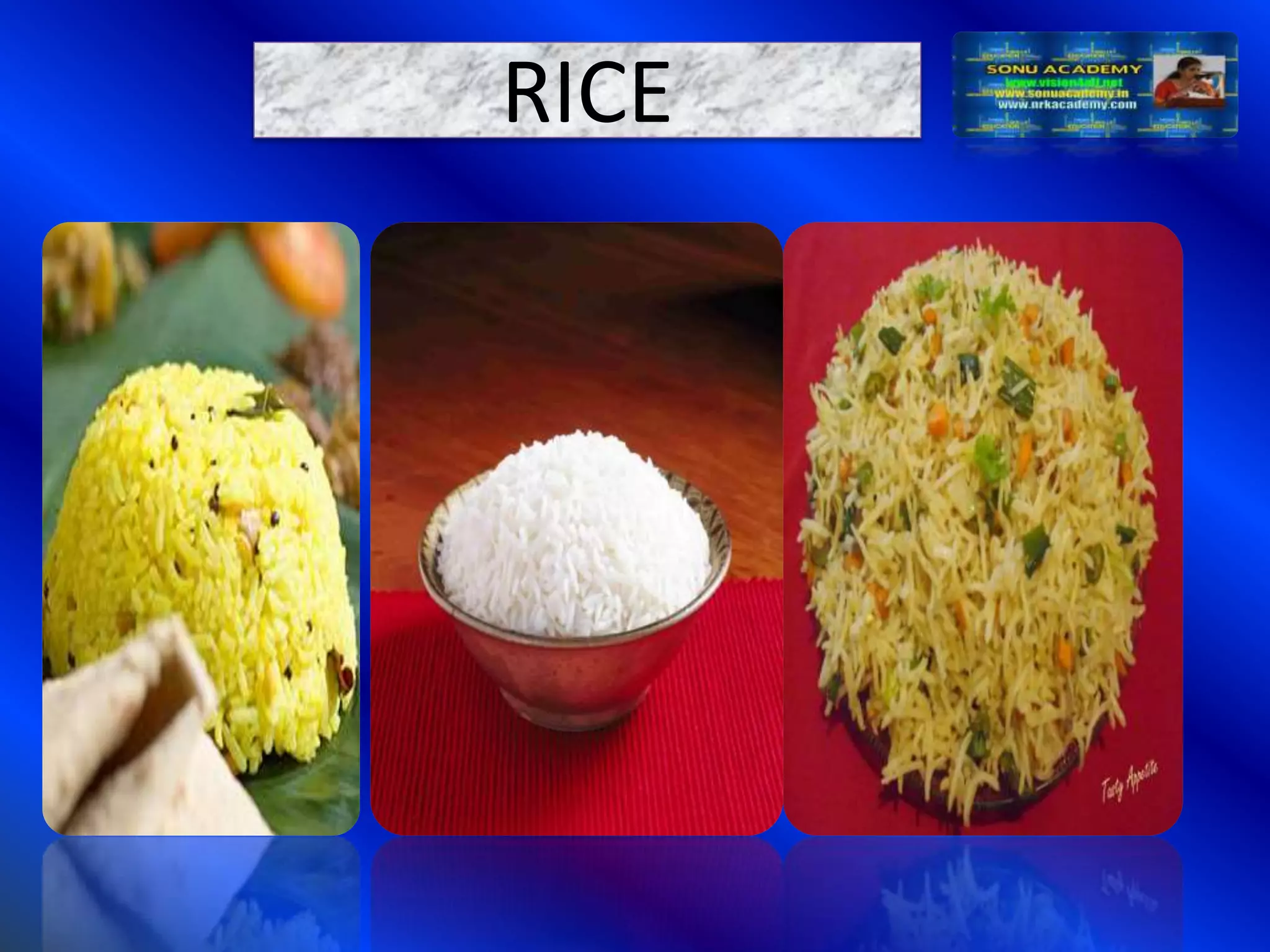 Slide 11