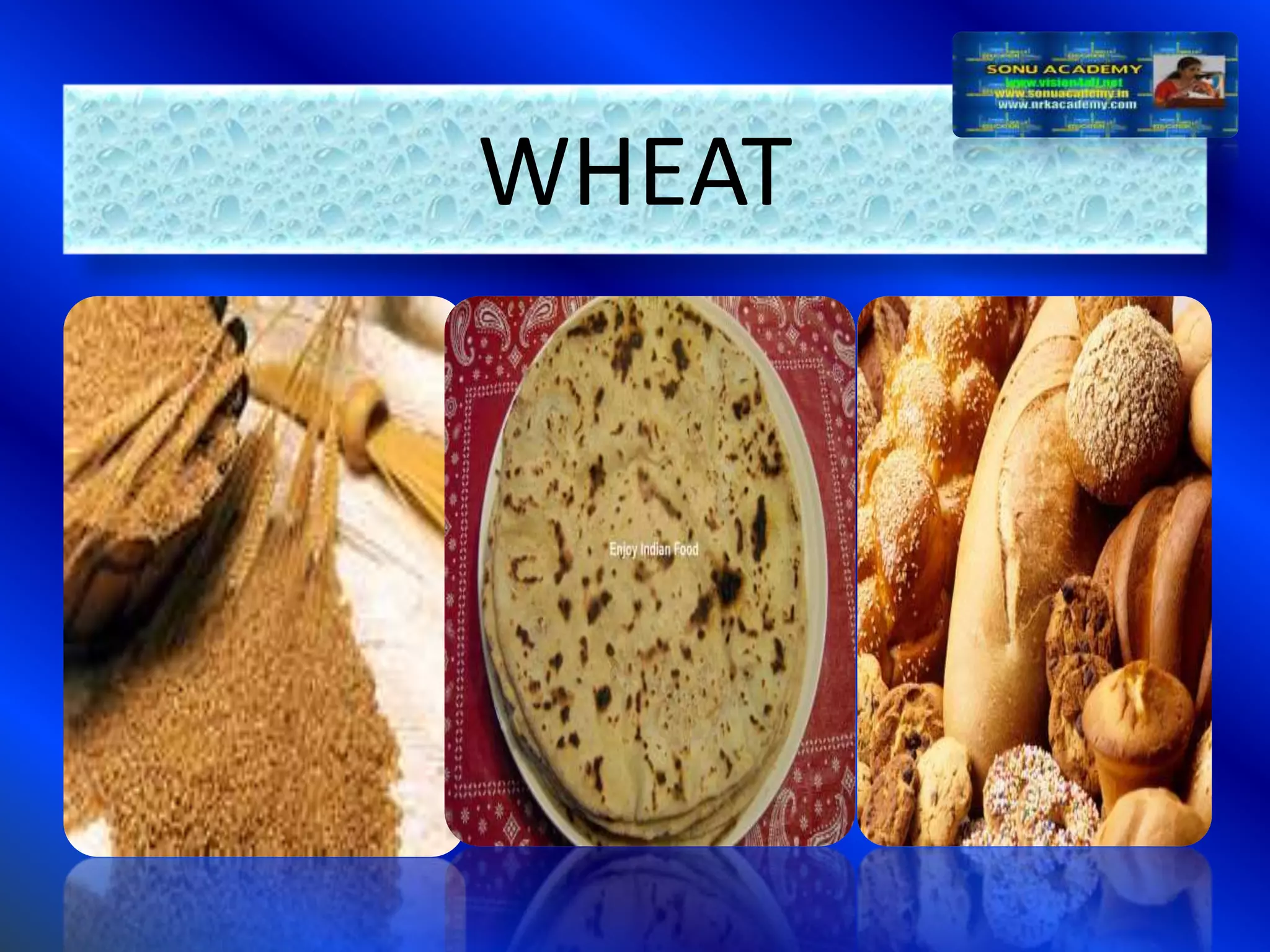 Slide 12