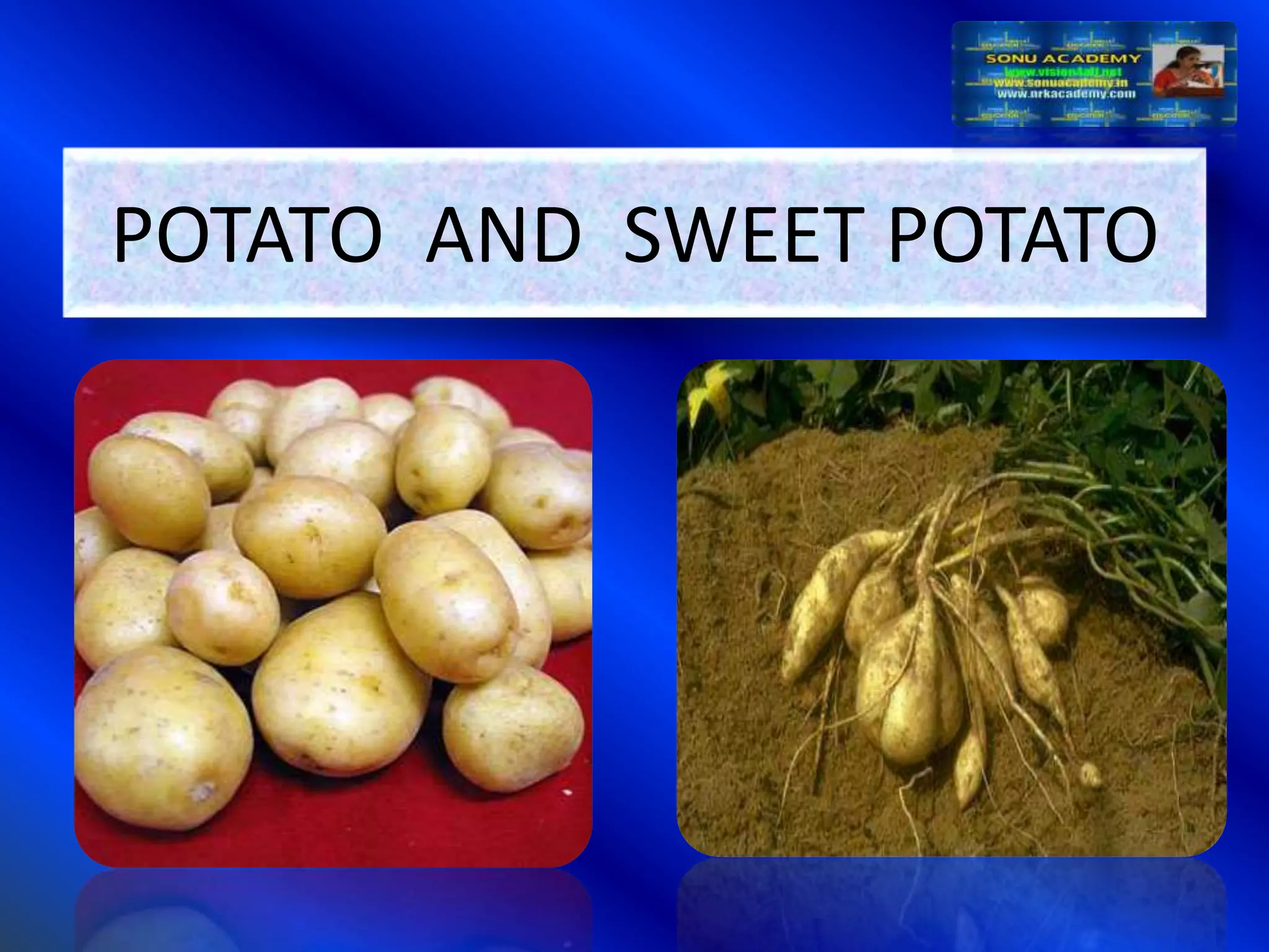 Slide 13