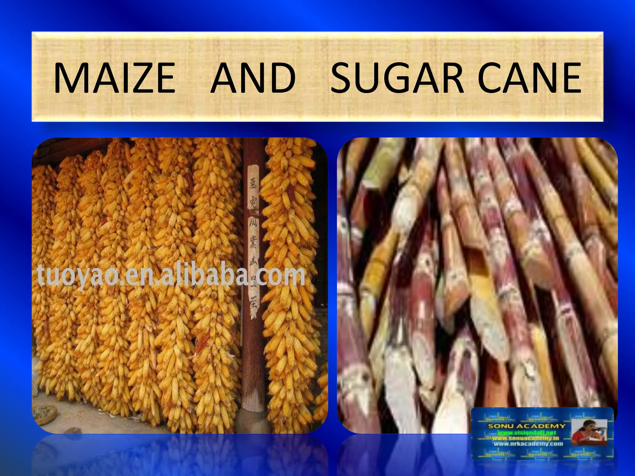 Slide 14