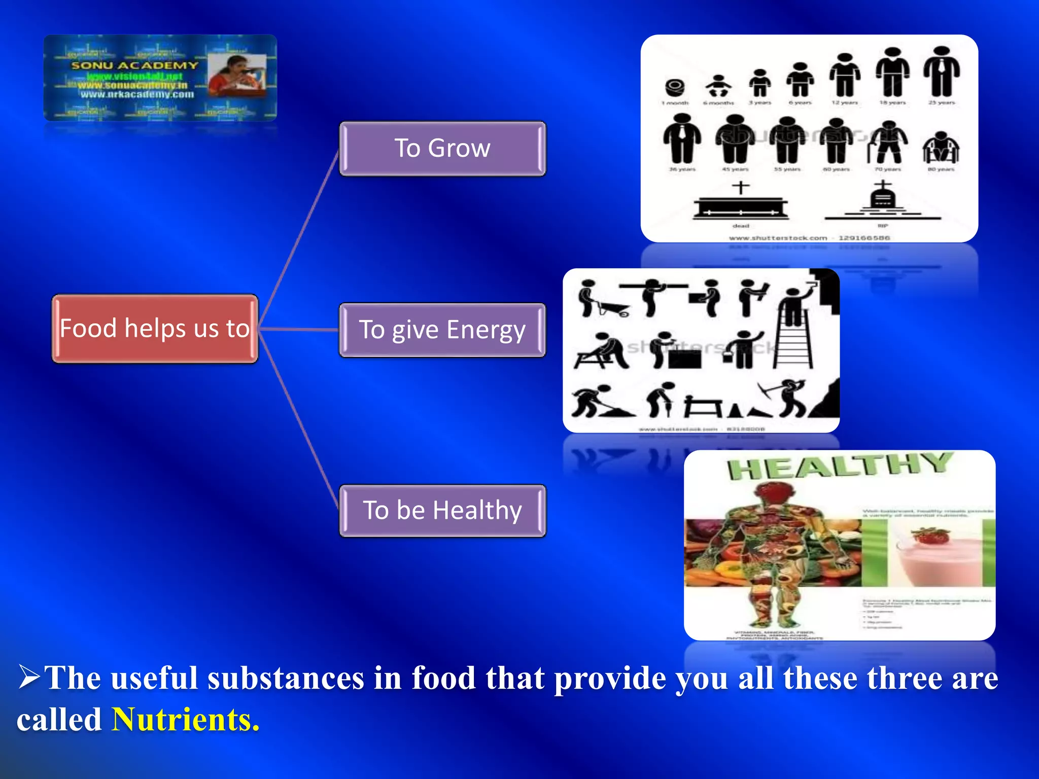 Slide 5