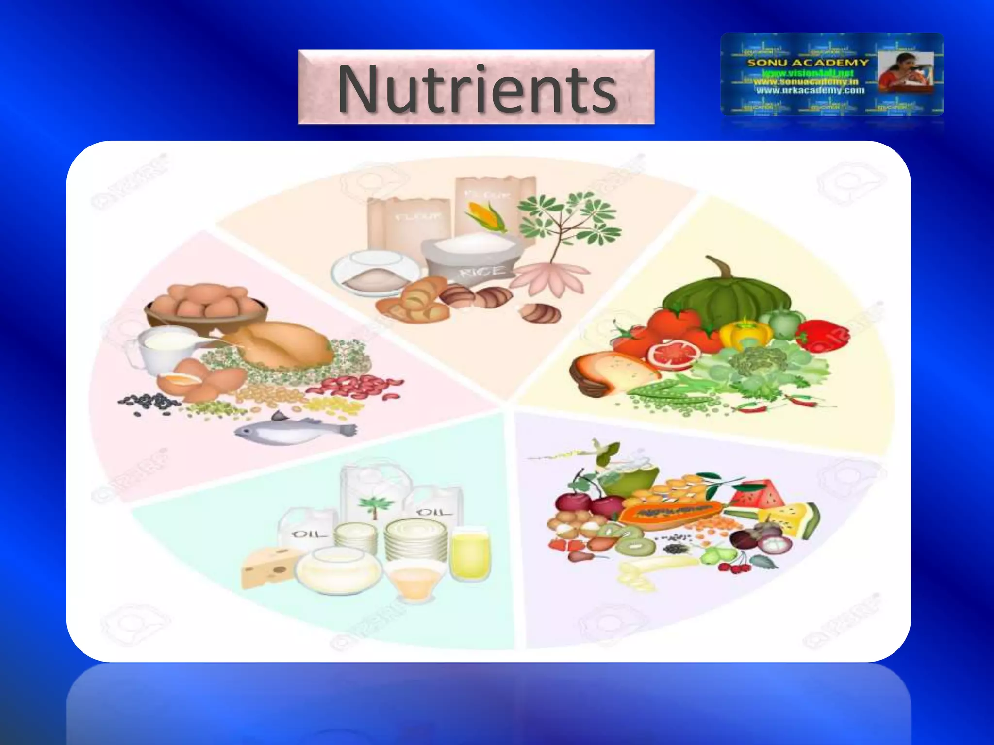 Slide 6