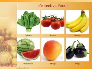 Environmental Science (EVS) : Food We Eat (Class I) | PDF