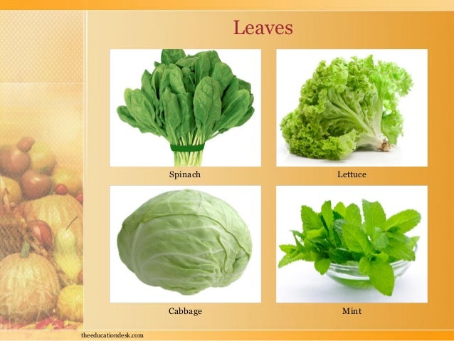 environmental-science-evs-food-we-eat-class-i