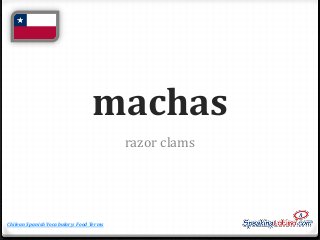 machas
razor clams

Chilean Spanish Vocabulary: Food Terms

 