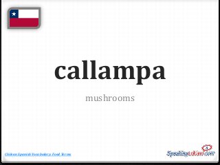 callampa
mushrooms

Chilean Spanish Vocabulary: Food Terms

 