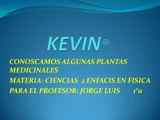 KEVIN® CONOSCAMOS ALGUNAS PLANTAS MEDICINALES MATERIA: CIENCIAS  2 ENFACIS EN FISICA PARA EL PROFESOR: JORGE LUIS        1°a   