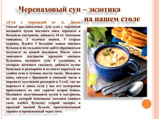 Суп с черепахой от А. Дюма
Способ приготовления: Для супа с черепахой
положите куски постного мяса черепахи в
большую кастрюлю, добавьте 10 кг ломтиков
говядины, 2 телячьи ножки, 3 старые
курицы. Влейте 3 большие ложки мясного
бульона и на сильном огне дайте образоваться
полужеле из вашей подливки. После этого
заполните кастрюлю крепким мясным
бульоном, положите туда 4 луковицы, в
которые воткните гвоздику, добавьте пучок
базилика и розмарина и оставьте вариться на
слабом огне в течение шести часов. Возьмите
кожу, снятую с брюшной и спинной части и
нарежьте кусочками размером в 3 см2; так же
нарежьте и лапы, если у вас нет намерения
приготовить из них горячее второе блюдо.
Положите получившиеся куски в кастрюлю,
на дно которой помещены ломтики свиного
сала, влейте бутылку старой мадеры и
крепкий мясной бульон, приготовленный
заранее и процеженный через сито.
 