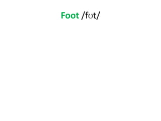 Foot /fʊt/
 