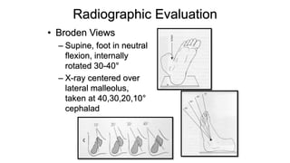 Foot Anatomy.pptx