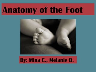 Anatomy of the Foot




    By: Mina E., Melanie B.
 