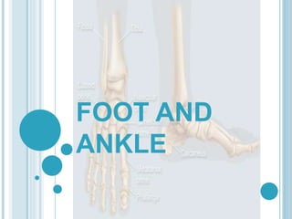 FOOT AND
ANKLE
 