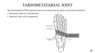 Tmt Joint Injection Biomechanics of Foot and Ankle complex, CP orthotic management &Tone ...