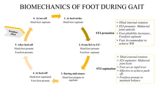 Biomechanics of Foot and Ankle complex, CP orthotic management &Tone ...