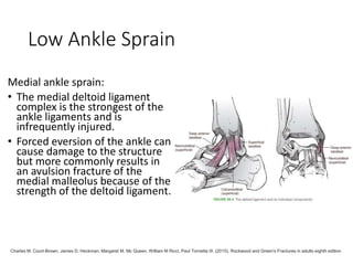 Low Ankle Sprain
Medial ankle sprain:
• The medial deltoid ligament
complex is the strongest of the
ankle ligaments and is
infrequently injured.
• Forced eversion of the ankle can
cause damage to the structure
but more commonly results in
an avulsion fracture of the
medial malleolus because of the
strength of the deltoid ligament.
Charles M. Court-Brown, James D. Heckman, Margaret M. Mc Queen, William M Ricci, Paul Tornetta III. (2015). Rockwood and Green's Fractures in adults eighth edition
 