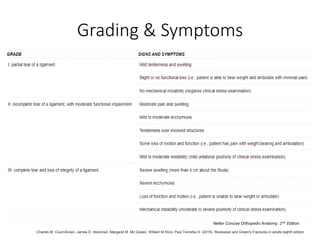 Grading & Symptoms
Charles M. Court-Brown, James D. Heckman, Margaret M. Mc Queen, William M Ricci, Paul Tornetta III. (2015). Rockwood and Green's Fractures in adults eighth edition
Netter Concise Orthopedic Anatomy, 2𝑛𝑑 Edition
 