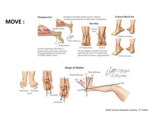 Netter Concise Orthopedic Anatomy, 2𝑛𝑑 Edition
MOVE :
 