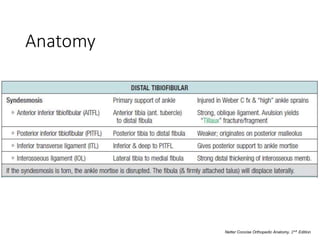 Anatomy
Netter Concise Orthopedic Anatomy, 2𝑛𝑑 Edition
 