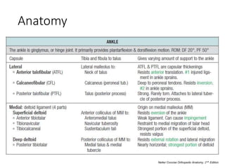 Anatomy
Netter Concise Orthopedic Anatomy, 2𝑛𝑑 Edition
 