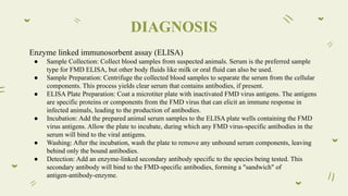 Foot and Mouth Disease | PPT