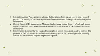 Foot and Mouth Disease | PPT