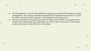 Foot and Mouth Disease | PPT