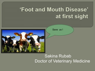 Sakina Rubab
Doctor of Veterinary Medicine
Save us !
 
