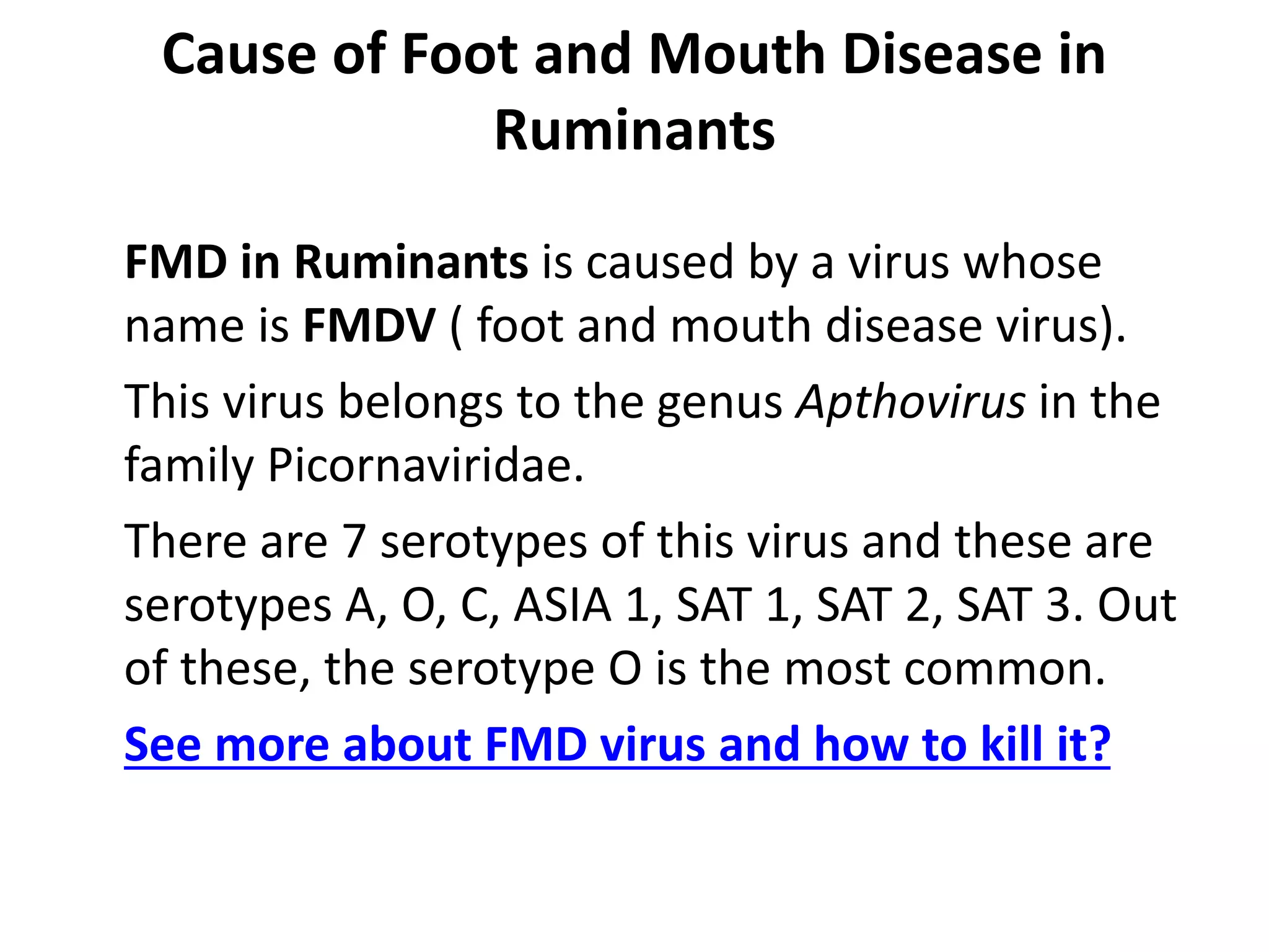 FOOT AND MOUTH DISEASE IN RUMINANTS.pptx