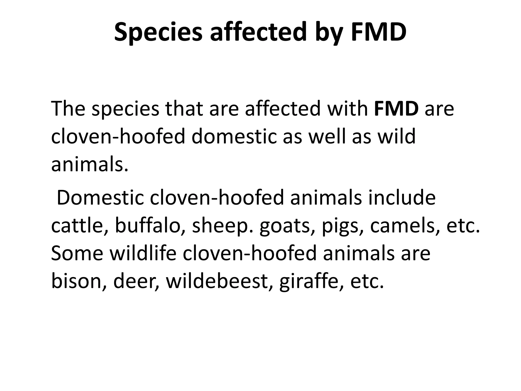 FOOT AND MOUTH DISEASE IN RUMINANTS.pptx