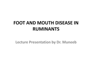 FOOT AND MOUTH DISEASE IN
RUMINANTS
Lecture Presentation by Dr. Muneeb
 