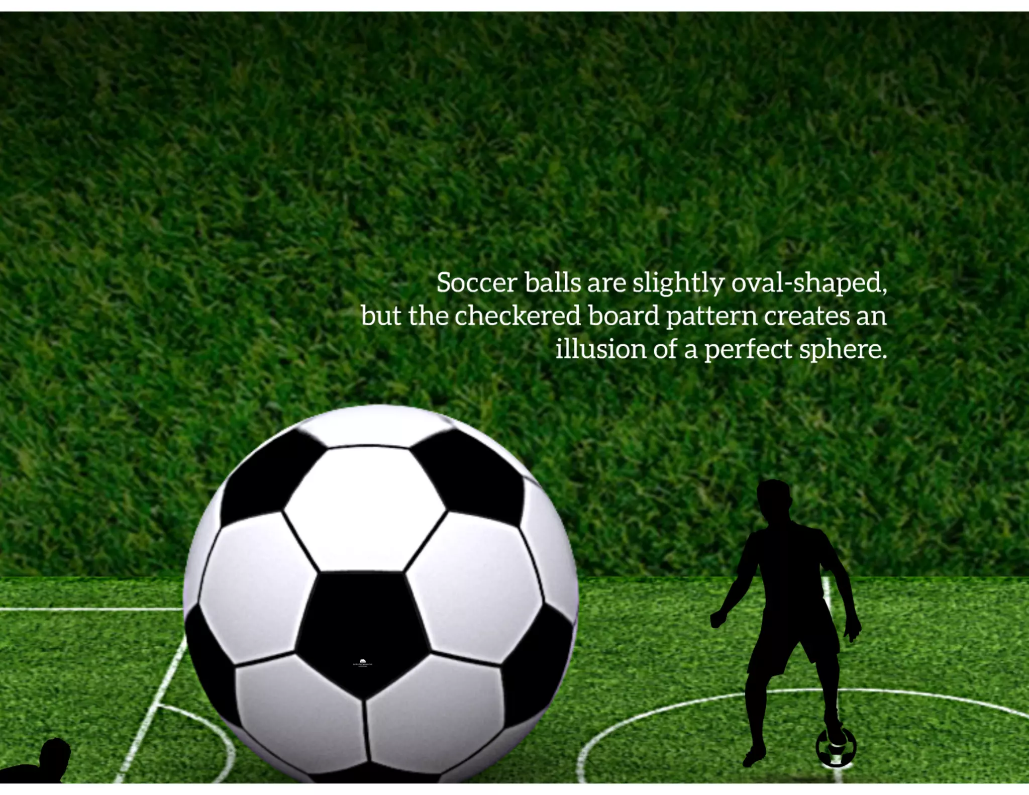 Football Pitch Template PDF