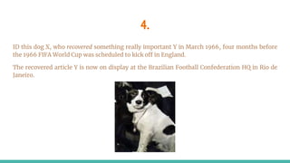 4.
ID this dog X, who recovered something really important Y in March 1966, four months before
the 1966 FIFA World Cup was scheduled to kick off in England.
The recovered article Y is now on display at the Brazilian Football Confederation HQ in Rio de
Janeiro.
 