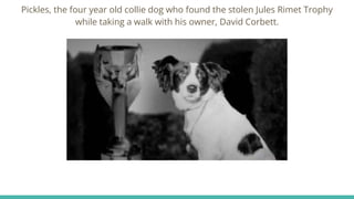 Pickles, the four year old collie dog who found the stolen Jules Rimet Trophy
while taking a walk with his owner, David Corbett.
 