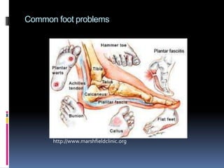 Changes in circulation