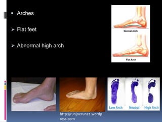 Integumentary System(Skin) Function (7)ChangesProblemshttp://mhts.com.au