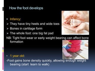 How the foot developsInfancy:They have tiny heels and wide toes