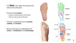 Foot deformities DIAGNOSIS AND REHABILITATION.pdf